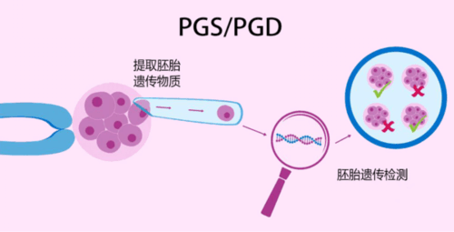 2026年上海东方医院代生子费用全解析：最新价格与估算详情