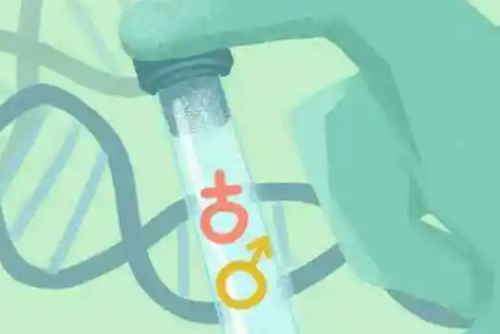 单身女性医院代生费用解析与2026新规指南