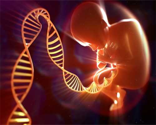 上海红房子医院代生费用详解：一次助孕开销预估